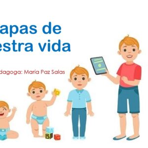 Etapas de la vida