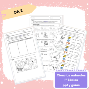 1° básico - Ciencias Naturales OA 2