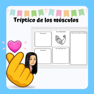 Lámina "Tríptico de los músculos"