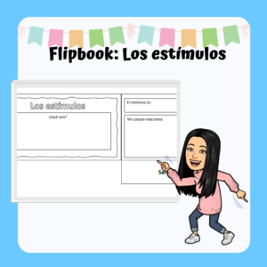 Flipbook: Los estímulos