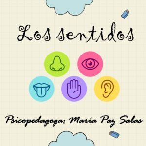 Los sentidos