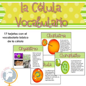 La célula tarjetas de vocabulario
