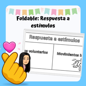 Foldable: Respuesta a estímulos