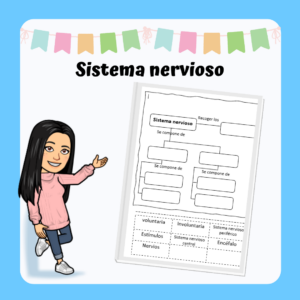 Lámina "Sistema nervioso"