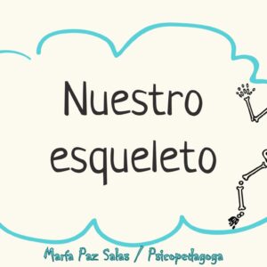 El sistema oseo