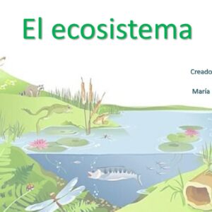 El ecosistema