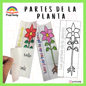 partes de la planta