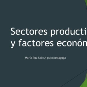 Sectores productivos Chile