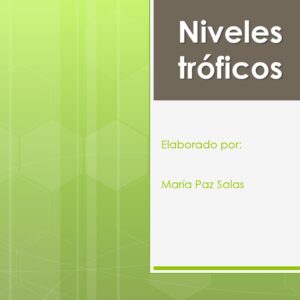 Niveles tróficos