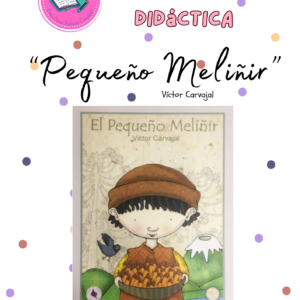 Propuesta Didáctica Libro "Pequeño Meliñir", de Víctor Carvajal