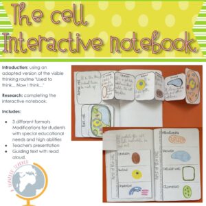 The Cell interactive notebook