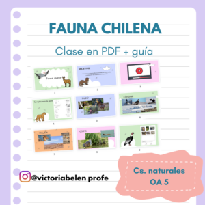 Fauna chilena - INCLUYE clase + guía