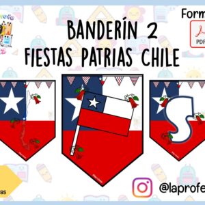BANDERINES PARA FIESTAS PATRIAS CHILENA (2)
