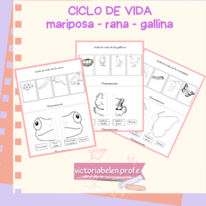 CICLO DE VIDA - mariposa + rana + gallina