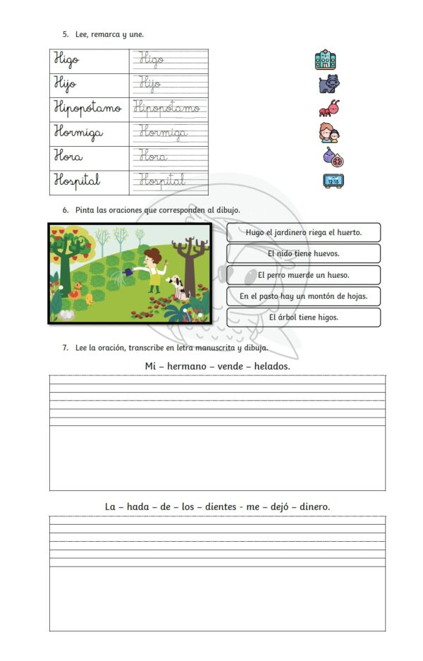 consonante H