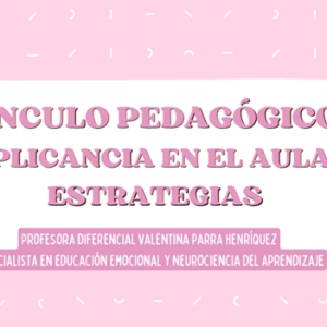 Presentación Vinculo Pedagógico