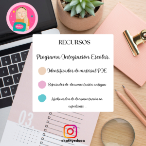 Recursos organización PIE