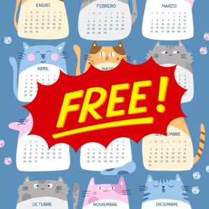 Calendario de Gatitos 2024