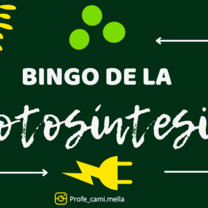 Bingo de la Fotosíntesis