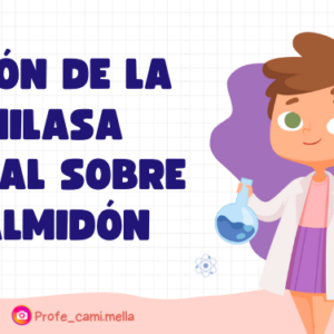 Laboratorio Acción de la amilasa salival sobre el almidón