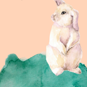 Animals birthday's calendar