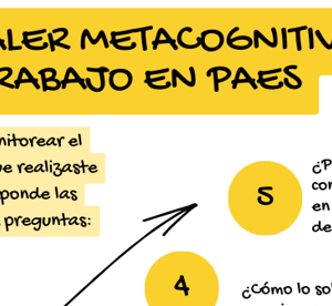 Escalera metacognitiva PAES