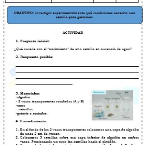 GUÍA EXPERIMENTACIÓN GRATIS