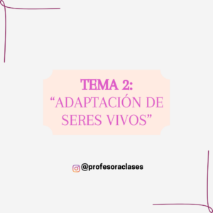 Flashcards de “Adaptación de seres vivos” 4°Básico Ecosistemas chilenos