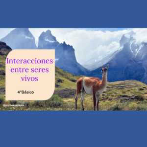 PDF de “Interacciones entre seres vivos” 4°Básico Ecosistemas chilenos