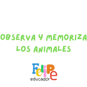 Observa y memoriza los animales - PreKínder y Kínder