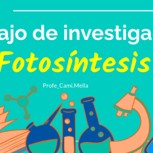 Trabajo de investigación fotosíntesis 6º básico