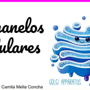 PDF Organelos celulares