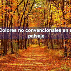 (actividad) Paisajes con emociones, pintura y artes visuales