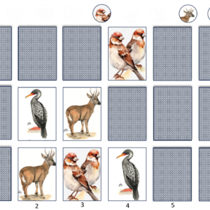 (PPT interactivo) Memorice de animales de chile autoctonos e introducidos