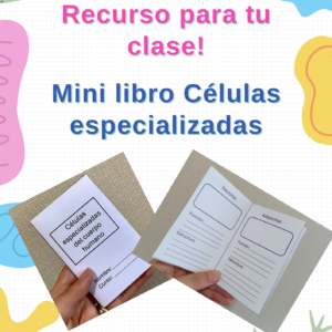 Mini libro Células especializadas del cuerpo humano