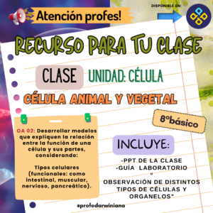 Clase "Célula animal y vegetal " Octavo básico