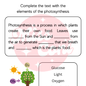 Photosynthesis activity