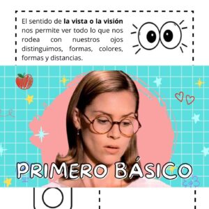 Guías 1° básico - Los Sentidos