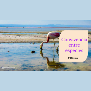 PDF de “Convivencia entre especies” 4°Básico Ecosistemas chilenos