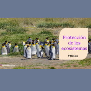 PDF de “Protección de los ecosistemas” 4°Básico Ecosistemas chilenos