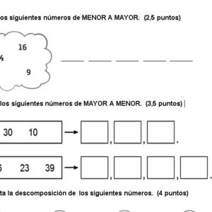 Prueba de Competencias Numéricas: Unidad N°1