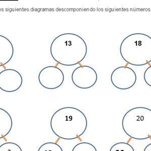 "Explorando la Descomposición de Números en Primero Basico, Unidad 2