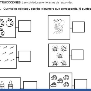 Prueba de Competencia Matemática, DIAGNOSTICO PRIMERO