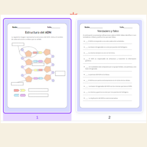 Ficha de trabajo ESTRUCTURA DEL ADN