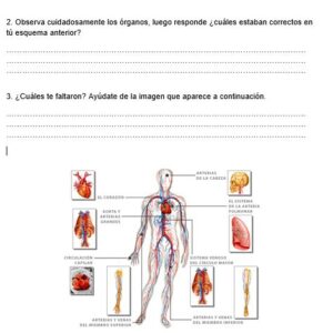 "Guía de Cuidados de los Órganos de los Sentidos para Primer Grado"