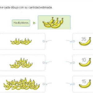 Explorando Estimaciones en Primer Grado