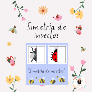 Simetría de insectos