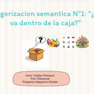 Categorizacion semantica 1: ¿Que hay en la caja?