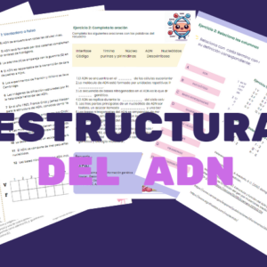 Estructura del ADN