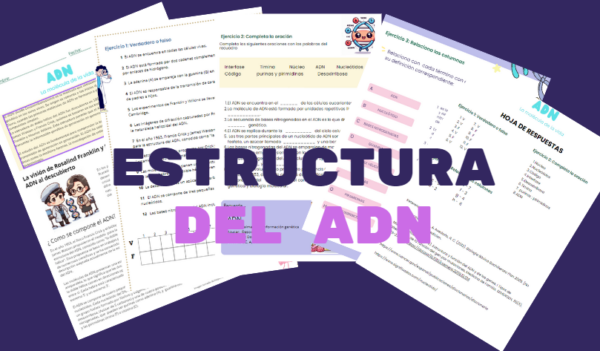 Estructura del ADN